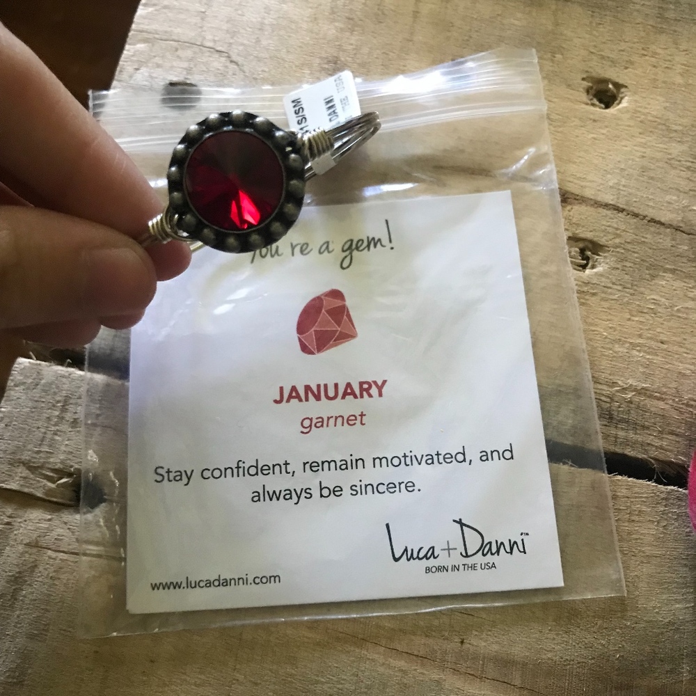 Luca and Danni Silver January Bracelet